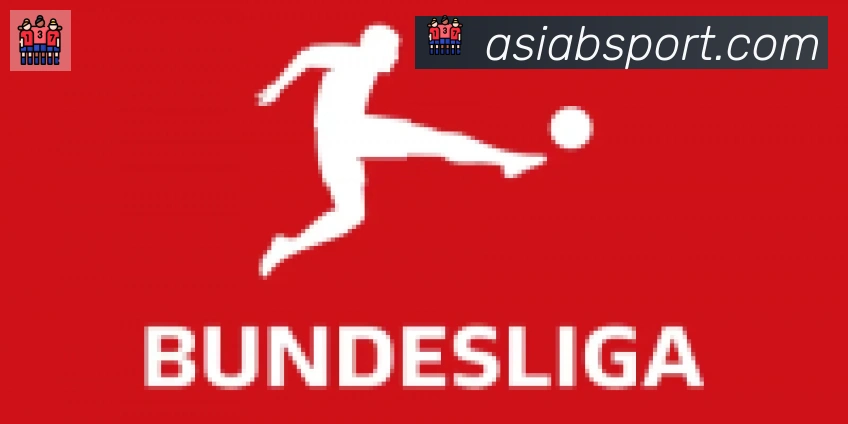 Bsports官网合作伙伴