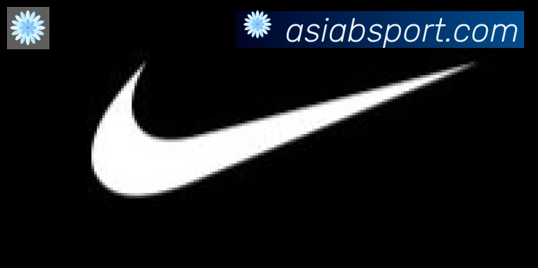 Bsports官网合作伙伴